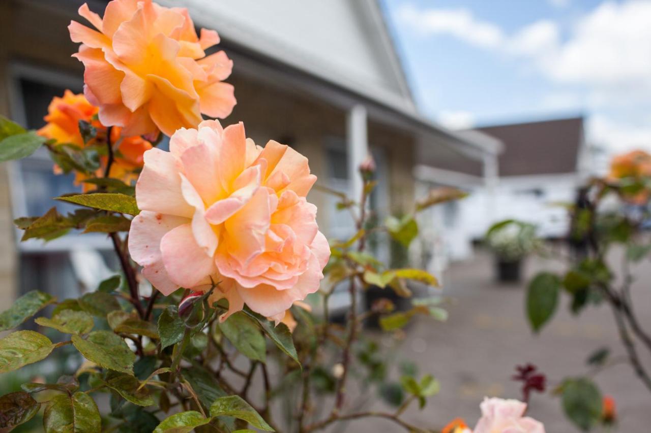 Rose Court Motel Rotorua Exterior photo